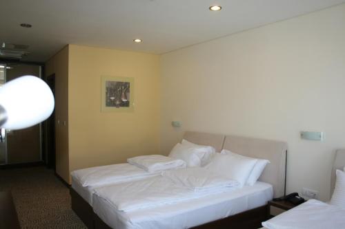 Hotel Franca - image 6