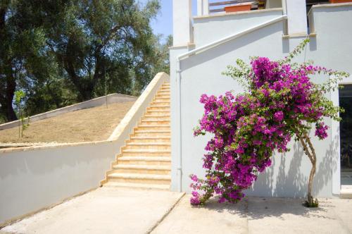  Corfu Birdhouse in Kastellánoi