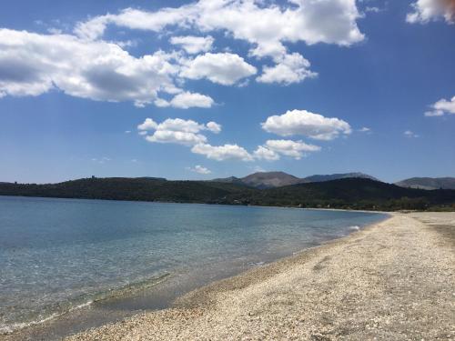 Nefeli Studios Nefeli Studios