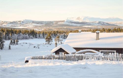 Gorgeous Home In Gol With House A Mountain View