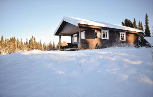 Holiday home Gol Nystølfjellet Drengestugu - Sanderstølen