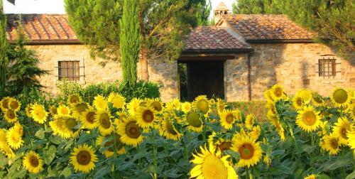 Agriturismo Il Borgo