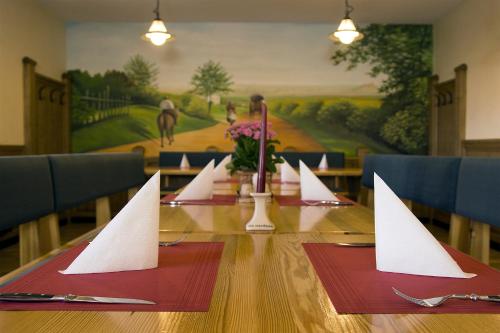 Penzion a Restaurace Na Netřebě - image 9