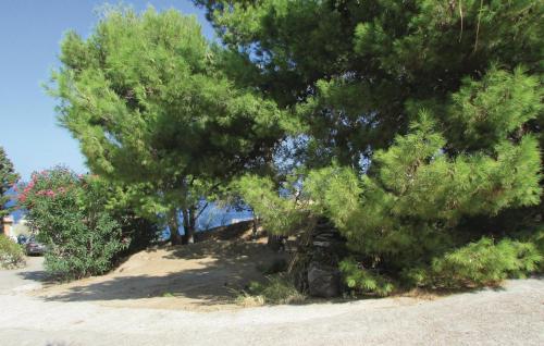 Lovely Home In Calvi With Kitchen