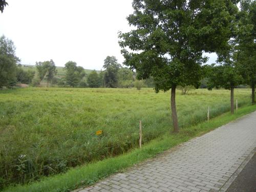 Gästehaus Monika - image 14