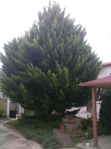 Kalaitzis Apartments