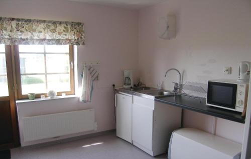 virtuve, Awesome Apartment In Saxtorp With Wifi in Saxtorp