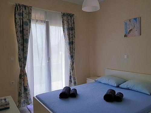 Mango apartment