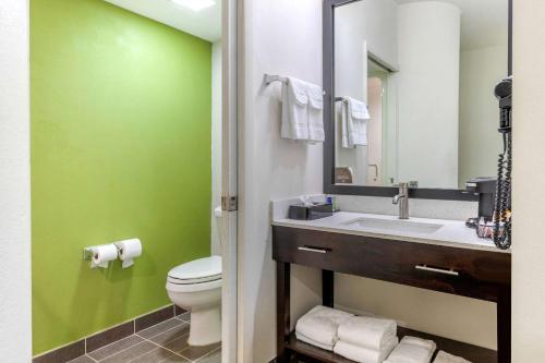 Sleep Inn Orangeburg - 화장실