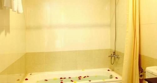 Hoa Tieu Guesthouse photo