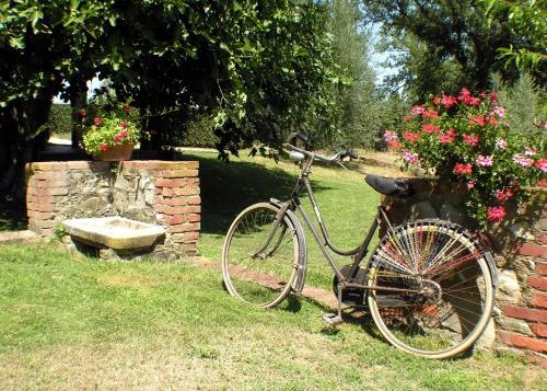 Agriturismo Il Sole Verde