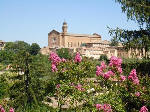 B&B Pantaneto - Palazzo Bulgarini - image 9