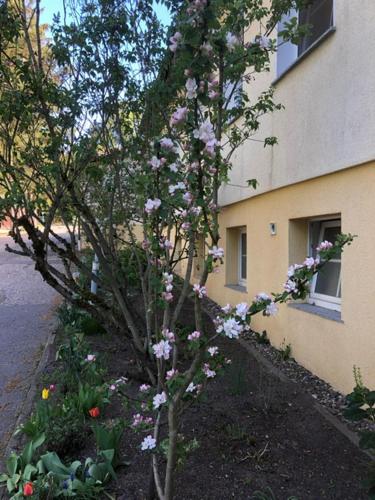 Buitenkant, Feriendorf Waldfrieden in Suhl