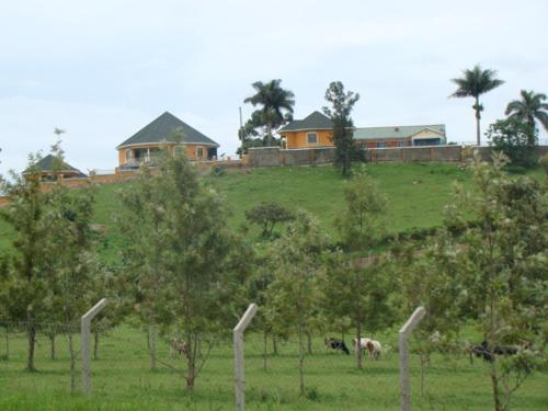 Karobwa Summit View