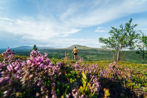 idrefjäll