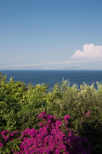 Ionian Garden Villas - Villa Pietra