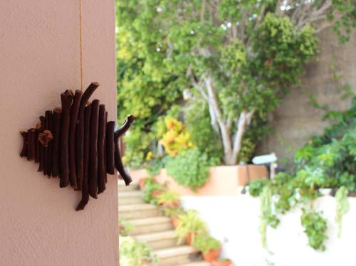 Casa Los Palitos - image 3