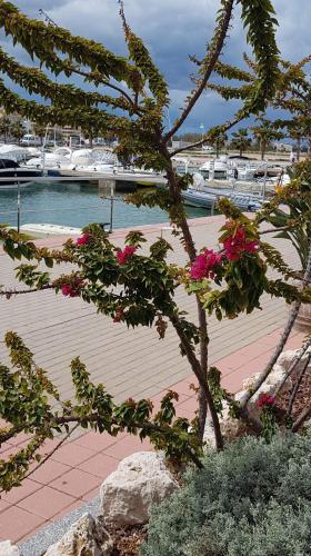 Nearby attraction, Guesthouse Berna in Denia Old Town