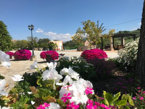 Cortijo Salinas - image 11