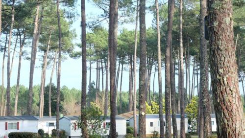 Les dunes de contis