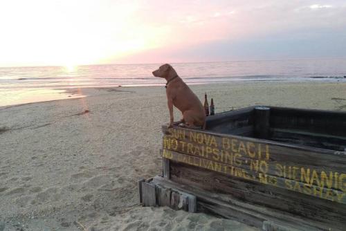 Wildwoof Beach Bungalow @ NW. 3 Blocks to Beach! in North Wildwood, USA
