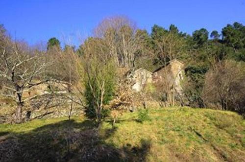 Le mas des sources cevenol Le chambon - Chambre d'hôtes - Chambon