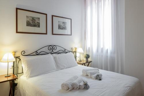 Paglia Tre, Florence