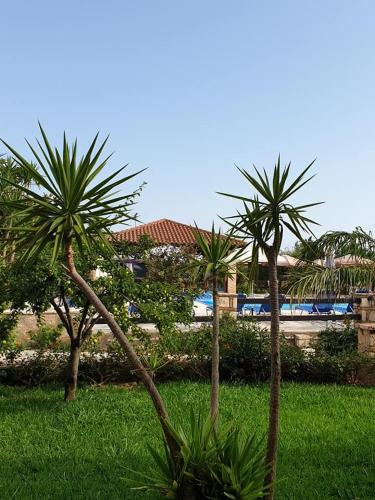 Daniel Hotel - image 5