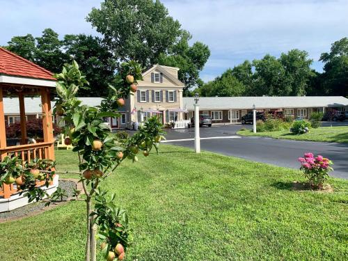 Udvendig, Eagle Wing Inn - Cape Cod in Eastham (MA)
