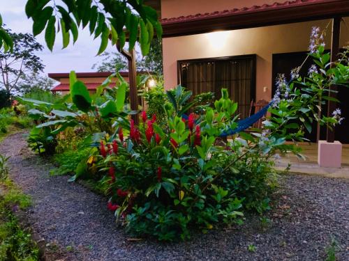Villa Tucan, Fortuna (photo 10)