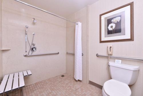 King Room with Roll-In Shower - Disability Access/Non-Smoking