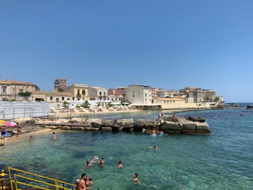 Populus, Syracuse