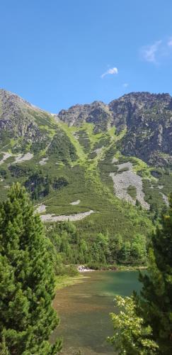 Apartman Zatura in Šuňava