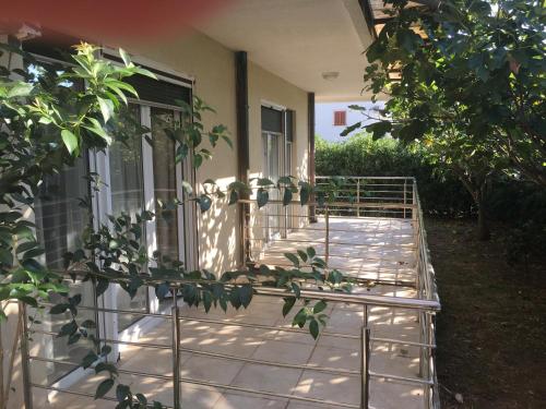 Apartments LAZAREV VRT Djenovici - image 6