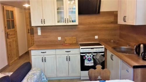 Konyha, Apartament z kominkiem i wanną (Apartament z kominkiem i wanna) in Jaworzynka