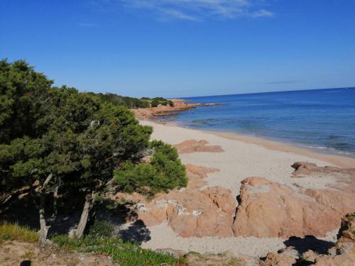  Paradiso Calarossa, Pension in Isola Rossa