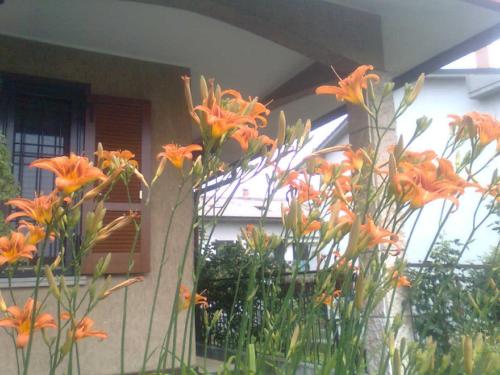 Le Magnolie B&B - MM2 Bussero - Milano Cortina – Bussero, DC