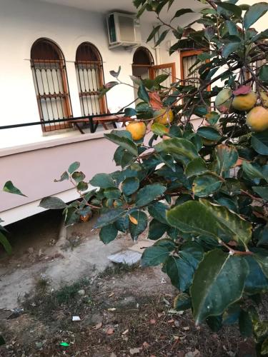  Daire in Alanya
