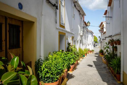Hotel D. Luis - Elvas - image 4