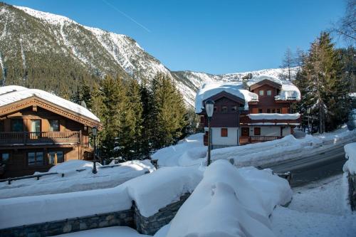 Manali Lodge - image 5