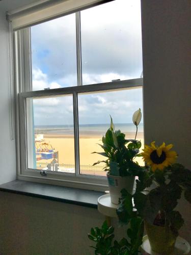 The Seaview Apartment - Margate Beach - By Goldex Coastal Breaks