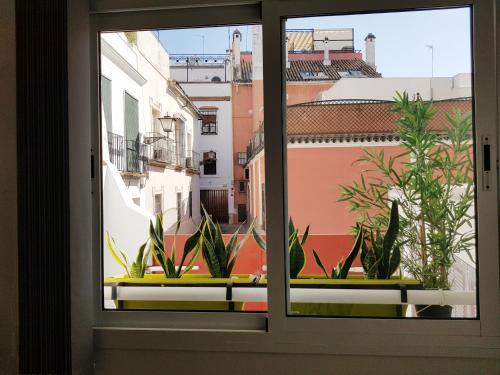 Lolita's house Alhambra, Sevilla (Foto 5)