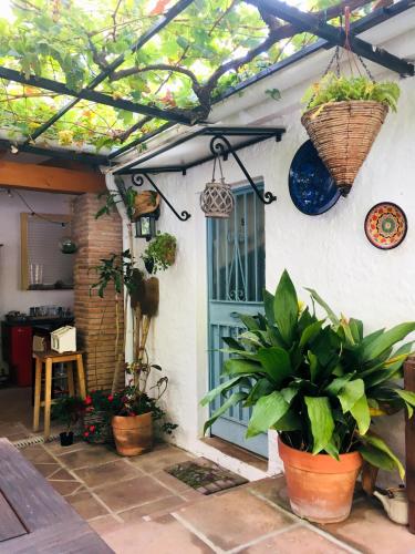 Bed and Breakfast At Home in Malaga - image 5