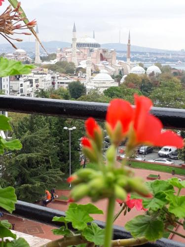 Double Room with Balcony and Sea View room in Hali Hotel