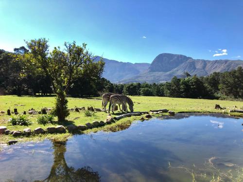 Franschhoek Country Cottages