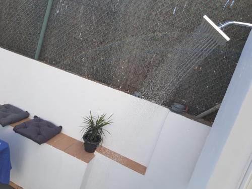 Lolita's house torre del oro, Sevilla (Foto 6)