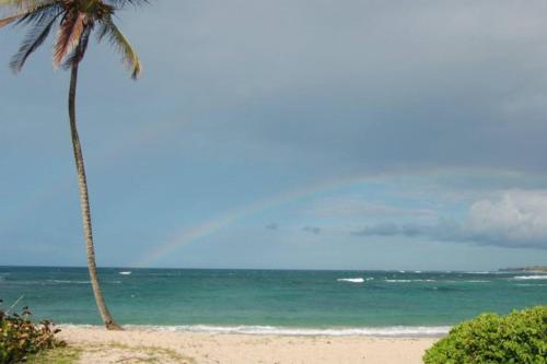 Gardenia- 3BR Dorado- Ocean Views + 3 pools in Vega Alta