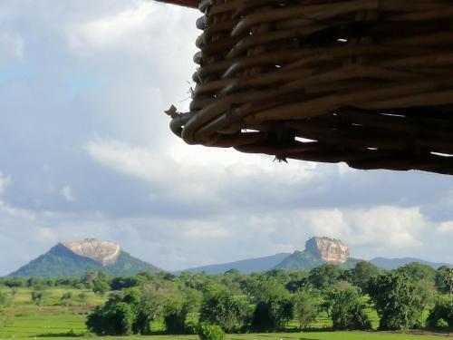 Organic Garden Resort Sigiriya