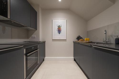 Hampden Apartments - The Diana - image 14