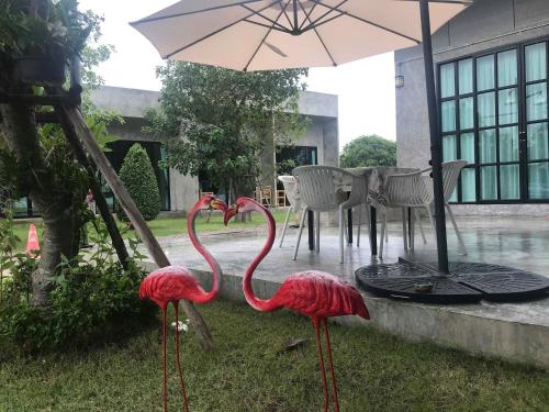 Alinda Resort